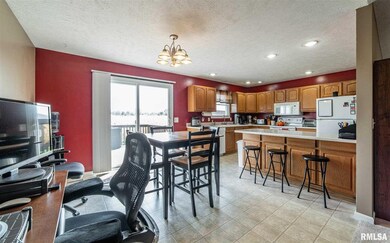 1010 N Sherman St, Lincoln, IL 62656 - photo 7