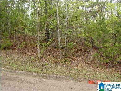 000 Timothy Dr, Oxford, AL 36203 - photo 4