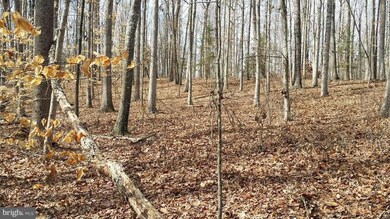 25191 Oxford Rd, Ruther Glen, VA 22546 - photo 4