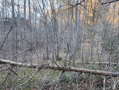 0000 Mallard Rd unit 357, Lake Lure, NC 28746 - photo 4