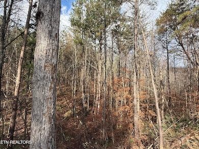 Lot 3 Parksville Rd, Benton, TN 37307 - photo 7