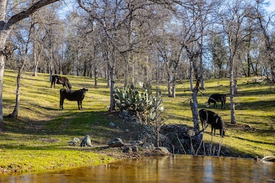 8499 Simmons Rd, Redding, CA 96001 - photo 6