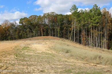 Tract 3 Hugh White State Park Road-6