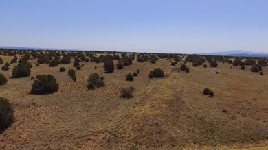 DJI_0003