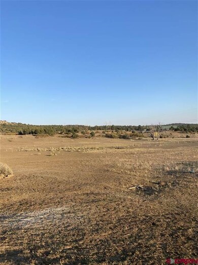 965 D Bar K Dr, Durango, CO 81301 - photo 7