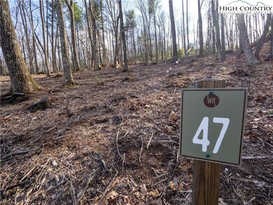 Lot 47 Wildcat Wilderness Pkwy, Deep Gap, NC 28618 - photo 5