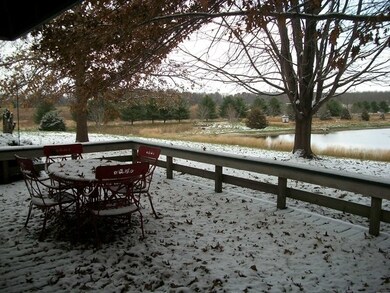 20242 1650 East St, Princeton, IL 61356 - photo 5