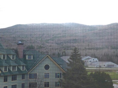28 Packard Rd unit 631, Waterville Valley, NH 03215 - photo 6