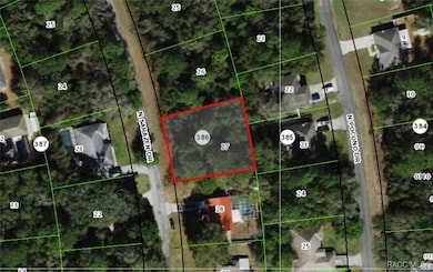 8363 N Sarazen Dr, Citrus Springs, FL 34434 - photo 4