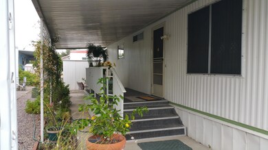 Patio2