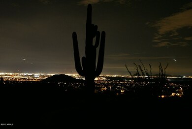 City Lights View