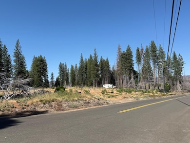 9981 Grizzly Flat Rd, Grizzly Flats, CA 95636 - photo 4
