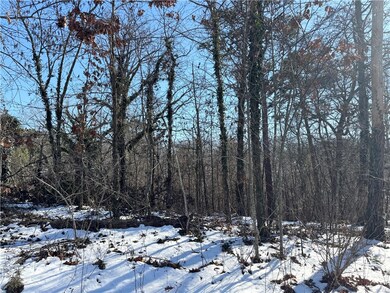 0 Little Dr unit 1329426, Bella Vista, AR 72715 - photo 3