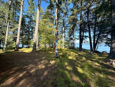 7352 N Chippewa Flowage Rd, Couderay, WI 54828 - photo 3