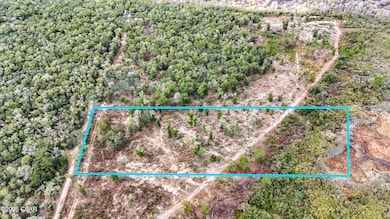 - Pine Log Rd, Chipley, FL 32428 - photo 2