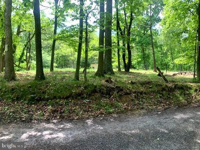 0 Jr Rannels Rd Finding Way unit WVHS2001950, Romney, WV 26757 - photo 5