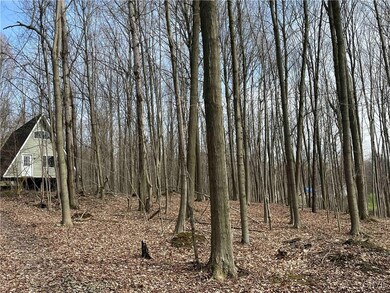 8477 Hudson Rd, Wayland, NY 14572 - photo 2