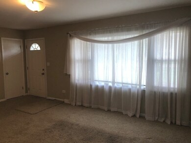 5S381 Columbia St, Naperville, IL 60563 - photo 6