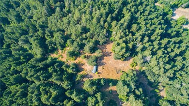 34621 Alderpoint Rd, Blocksburg, CA 95514 - photo 7