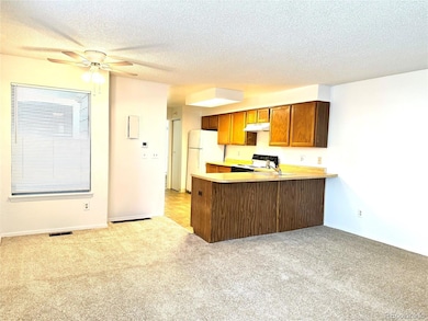 910 S Dawson Way unit 3, Aurora, CO 80012 - photo 5