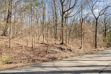 1009 Scramblers Knob, Franklin, TN 37069 - photo 2