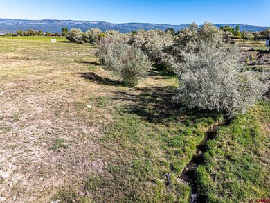 Lot 2A Bull Mesa Rd, Cedaredge, CO 81413 - photo 3