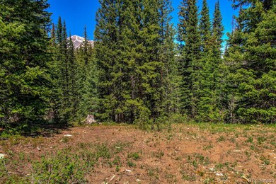 0307 Cr 674 unit 18, Blue River, CO 80424 - photo 5