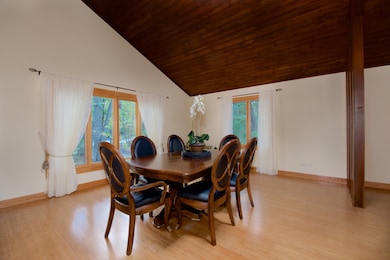 2324 Lisson Rd, Naperville, IL 60565 - photo 6