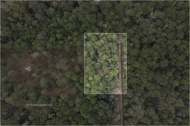 TBD Firetower Rd, Conroe, TX 77306 - photo 7