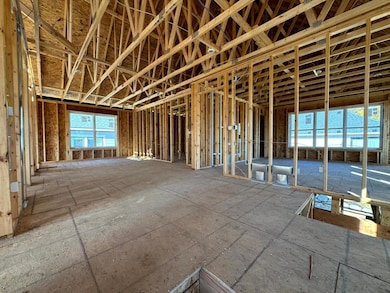 Construction update 10-29-25 - Framing Complete, windows in, plumbing and electrical rough-ins complete!