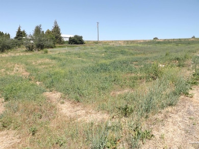 xxx E A St, Rosalia, WA 99170 - photo 2