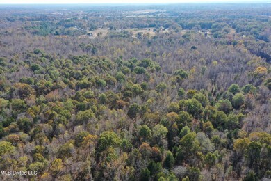 5123 Highway 51 S, Hernando, MS 38632 - photo 4