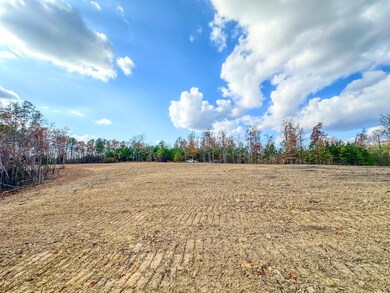 0 Firetower Rd unit RTC3051309, Centerville, TN 37033 - photo 7