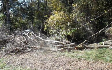 unlisted-address, Fort White, FL 32038 - photo 4