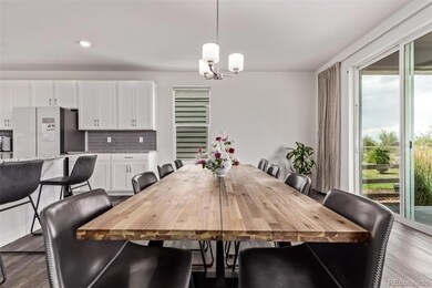 4183 Chasm Lake Dr, Loveland, CO 80538 - photo 7