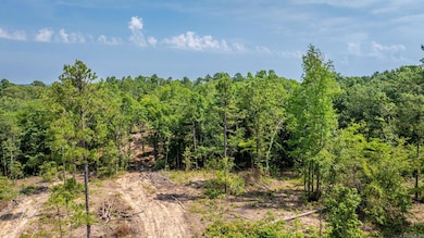 Tract 6 Harmony Mountain Rd, Clinton, AR 72031 - photo 3
