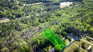 351 Dingle Ln, Saint Stephen, SC 29479 - photo 5