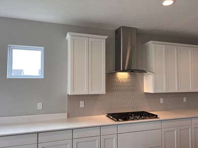 4274 Risen Star Way, Bargersville, IN 46106 - photo 2