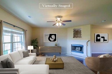 141 Springwood Ranch Loop, Springtown, TX 76082 - photo 3