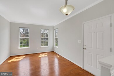 43446 Randfield Ln, Chantilly, VA 20152 - photo 5