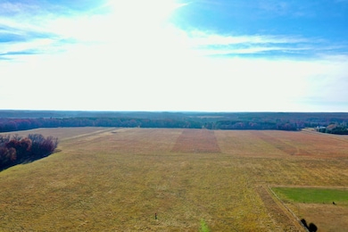 NA 305th Ave NW, Spencer Brook Township, MN 55371 - photo 4