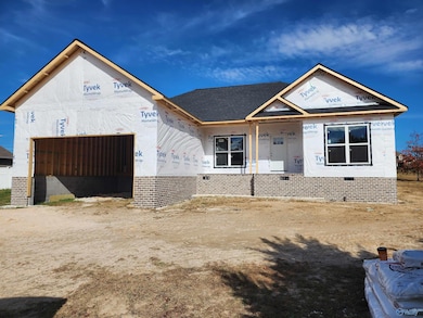 51 Juniper Dr, Rainsville, AL 35986 - photo 5