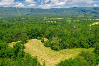 DJI_0993
