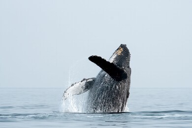 280 Alui'I Dr, Makawao, HI 96768 - photo 2