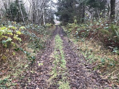 0 Miami Foley Rd unit 17064732, Nehalem, OR 97131 - photo 3