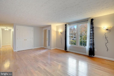 804 Mason Rd, Stevensville, MD 21666 - photo 5