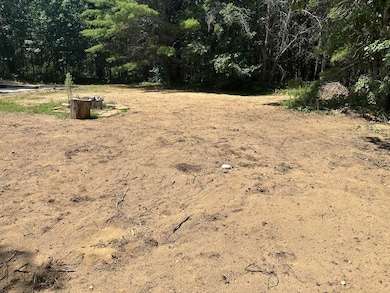 2018 W 44th St, Baldwin, MI 49304 - photo 5