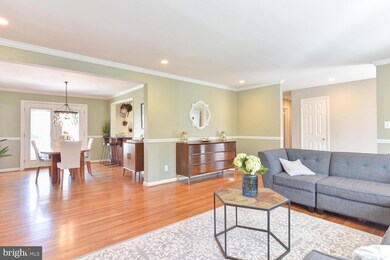 7033 Williamsburg Blvd, Arlington, VA 22213 - photo 3