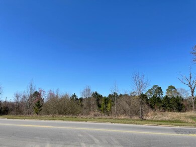 00 Pat Dixon Rd Broxton Hwy & Charles Roger Blvd, Hazlehurst, GA 31539 - photo 6