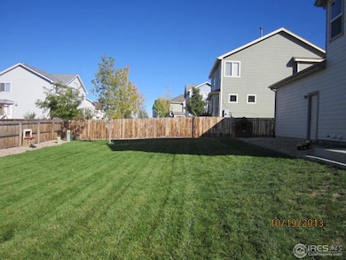 217 Chapel Hill Dr, Brighton, CO 80601 - photo 3